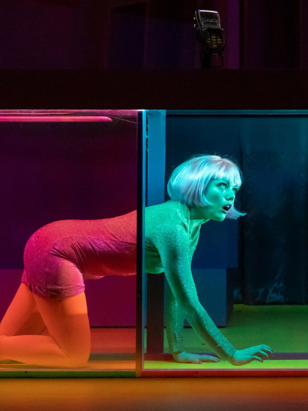 Fotograf: Jenny Baumgartner, 2025